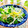 ☆kiyomin☆'s cooksnap of when they made 大根の和風サラダ.