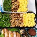 チロルちょこっ's cooksnap of when they made 1番簡単☆鶏そぼろ.
