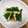 ♡まーちゃん♬'s cooksnap of when they made 簡単☆材料３つ！ニラと油揚げの炒め物.