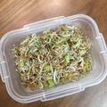 ゆゆ★米粉好き's cooksnap of when they made シラスと大根の葉っぱのふりかけ！.