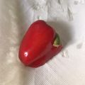 まこさんど's cooksnap of when they made 簡単！パプリカの保存方法　コツあり.