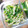 主人の苗字は”何”'s cooksnap of when they made ほうれん草とモヤシの簡単ナムル◆作り置き.