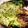 ☆momomama☆'s cooksnap of when they made 豚バラ肉のハンバーグ.
