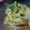 ma―chin's cooksnap of when they made もやしと葱の梅肉和え.