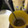 AiYuKE's cooksnap of when they made きな粉の消費に、片栗粉で簡単わらびもち♪.