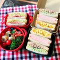 陽☆Iso's cooksnap of when they made しそちくわくるくる.