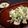 まいつか's cooksnap of when they made ✿簡単！菜の花畑サラダ✿.