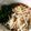 もんすけまま's cooksnap of when they made 132、肉炒めワカメラーメン♡.