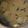 もんすけまま's cooksnap of when they made 簡単！ひじきワカメ舞茸豆腐のお味噌汁.