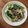クック1FX93J☆'s cooksnap of when they made さっぱり【小松菜と干しエビのごまポン酢】.
