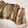 しゅーくりーむママ's cooksnap of when they made 安価に一品♪鯵のムニエル.