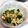 なおーズ☆キッチン's cooksnap of when they made えのきとオクラの梅ポン酢和え.