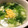 natsuko｡˚✩'s cooksnap of when they made さっぱり！簡単！ザーサイとエノキのスープ.