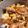 atomog's cooksnap of when they made 親子丼.