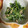 クックPZDB8O☆'s cooksnap of when they made ツナとほうれん草のマヨ和え.
