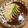 cucupa's cooksnap of when they made 洋食屋さんのハヤシライス～アボカドのせ.