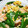 tamama1102's cooksnap of when they made スナップエンドウとエビと卵の中華風炒め.