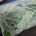 chiaking＊＊'s cooksnap of when they made 小松菜 冷凍保存 即調理！.