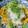 ☆ともすけ♪☆'s cooksnap of when they made 超簡単！油揚げのしらすおろしのせ☆.
