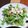 ♡Catherine's cooksnap of when they made 水菜と豆腐とツナのサラダ.