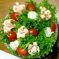 えだまめ豆腐's cooksnap of when they made カーネーションのブーケサラダ.