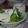 ☆きゃよこ☆'s cooksnap of when they made ヨーグルトでさっぱりドレッシング.