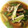 にゃ★にゃ's cooksnap of when they made 山東菜と 椎茸 えのきの ピリ辛中華煮！.