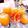 fuyoyo's cooksnap of when they made ニューサマーオレンジの輪切りマーマレード.
