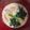 chi's cooksnap of when they made 1人分〜レンジで簡単☆茶碗蒸し.