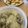 なつをなつ's cooksnap of when they made お豆腐白玉☆よもぎもちきな粉あん.