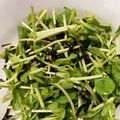 candyｔｏｙ's cooksnap of when they made これだけで美味しい「豆苗と塩昆布」.