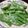 クック7FNN0F☆'s cooksnap of when they made スナップエンドウ のアンチョビマヨ.