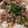 クックE2OHKS☆'s cooksnap of when they made 牛丼 つゆだく♪.