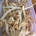 カニーヘン's cooksnap of when they made 簡単!!もやしと卵の塩胡椒炒め♬.