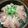 クック7FNN0F☆'s cooksnap of when they made 柚子胡椒風味のごまハマチ丼.