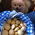 jun1816's cooksnap of when they made 全卵使用で作る◎たまごボーロ風【ボーロ】.