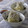 猫好きライダー's cooksnap of when they made しらす 大根おろし ほうれん草 めんつゆ.