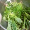 ねこはがき's cooksnap of when they made 葉物野菜の簡単!ゆで方　.