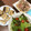 こつぶはゆっちー's cooksnap of when they made もやしとベーコンとしめじ炒め.