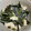 クック7FNN0F☆'s cooksnap of when they made 基本の和食40　わらびと油揚げの煮物.