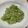 しゅうう's cooksnap of when they made 赤みず食べよう③　生姜味噌たたき.
