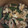 クックZ8J4H4☆'s cooksnap of when they made 焼き竹輪とスナップエンドウのマヨポン炒め.