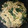 クック5PKJNY☆'s cooksnap of when they made ちょー簡単！あさりとほうれん草のパスタ.