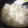 りこりゃんママ's cooksnap of when they made 失敗しない！基本の土鍋ごはん.