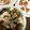 こつぶはゆっちー's cooksnap of when they made 豆腐サラダ.