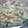 櫻井愛's cooksnap of when they made 5分で完成！なめ茸白菜.