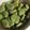 大阪のちゃーちゃん's cooksnap of when they made そら豆の煮物.