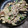 こぺん（・∀・）'s cooksnap of when they made ✿筍と豚肉のオイスターソース炒め✿.