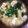 ちゃぎー's cooksnap of when they made 豆腐の味噌汁.