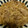 みっちゃん829's cooksnap of when they made 牛肉と玉ねぎの甘辛炒め.